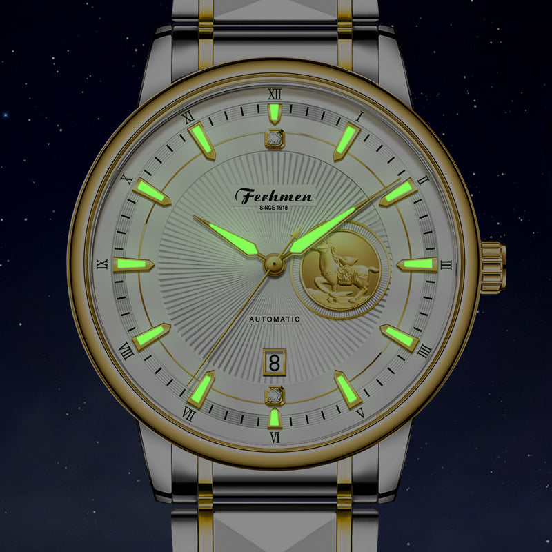 Ferhmen F8900 Men's Two-Tone Mechanical-Inspired Quartz Watch